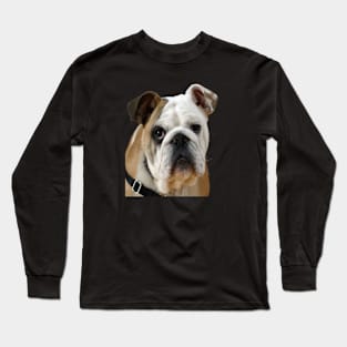 American Bulldog Face With Sad Eyes Vector Long Sleeve T-Shirt